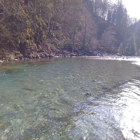 Camping & Glamping Grintovec Preddvor Eksteriør bilde