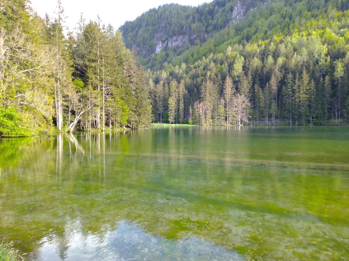 Camping & Glamping Grintovec Preddvor Eksteriør bilde