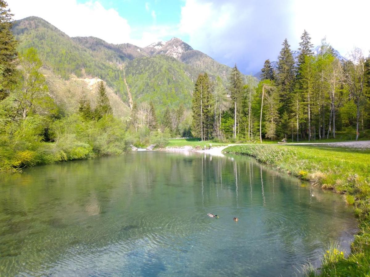 Camping & Glamping Grintovec Preddvor Eksteriør bilde