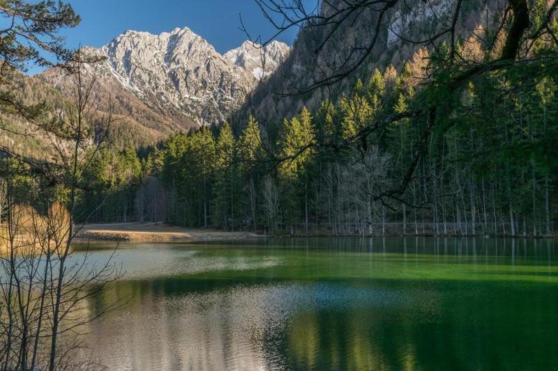 Camping & Glamping Grintovec Preddvor Eksteriør bilde