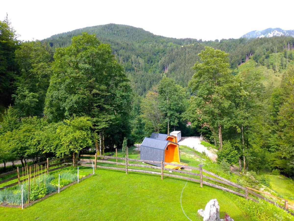 Camping & Glamping Grintovec Preddvor Eksteriør bilde