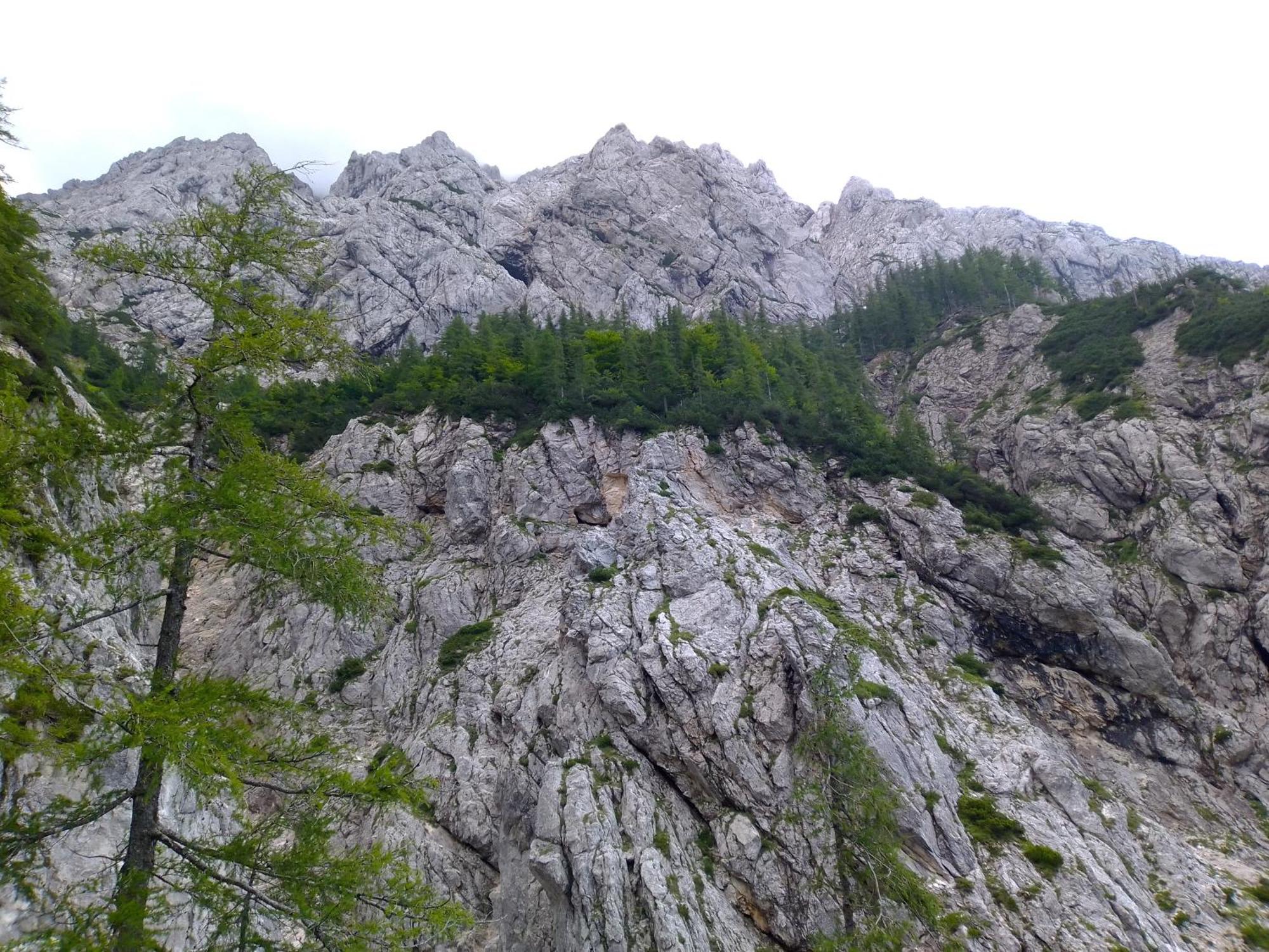 Camping & Glamping Grintovec Preddvor Eksteriør bilde