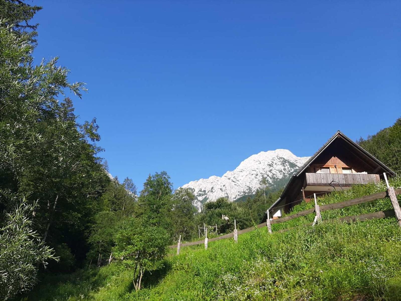 Camping & Glamping Grintovec Preddvor Eksteriør bilde