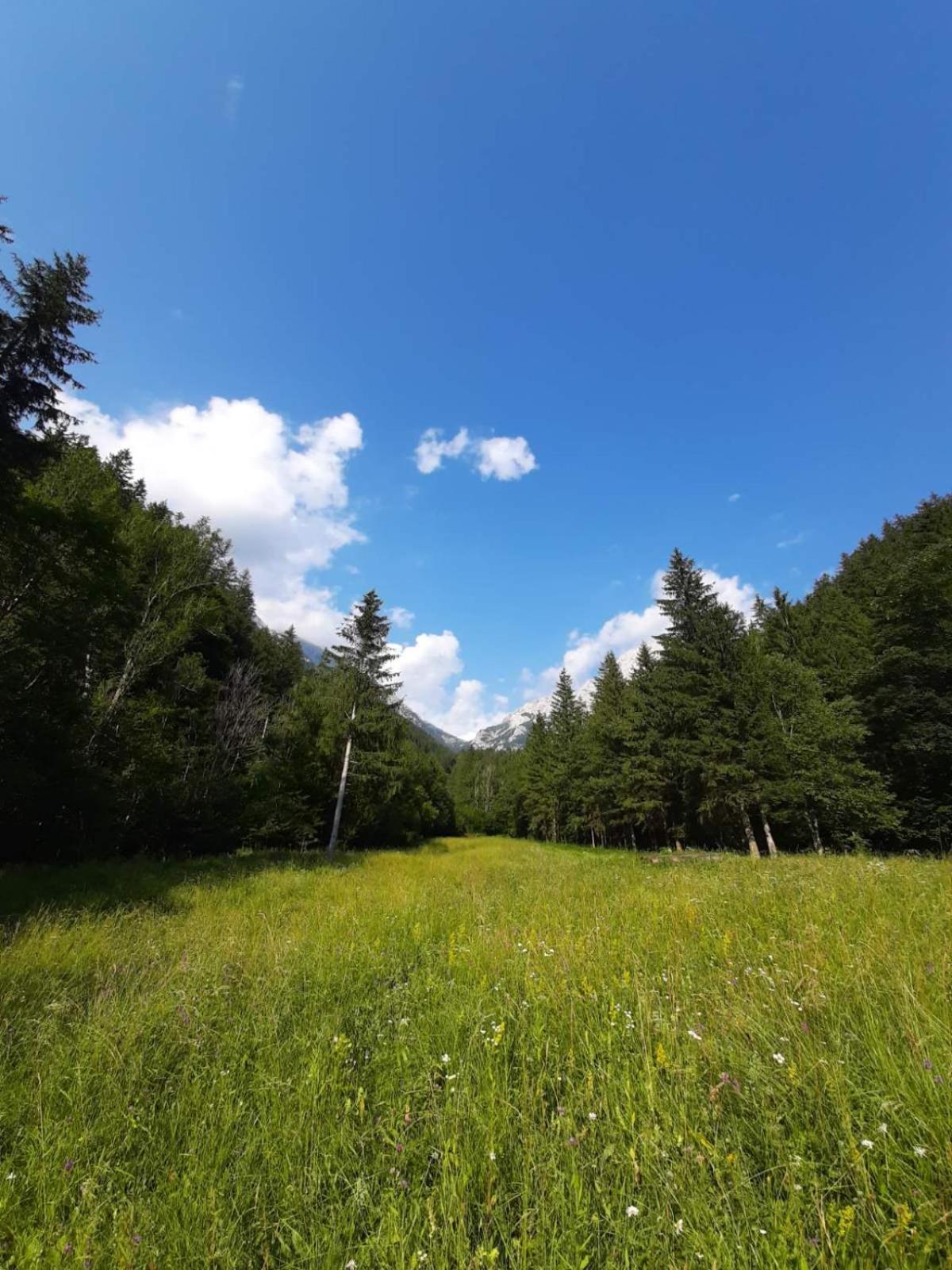 Camping & Glamping Grintovec Preddvor Eksteriør bilde